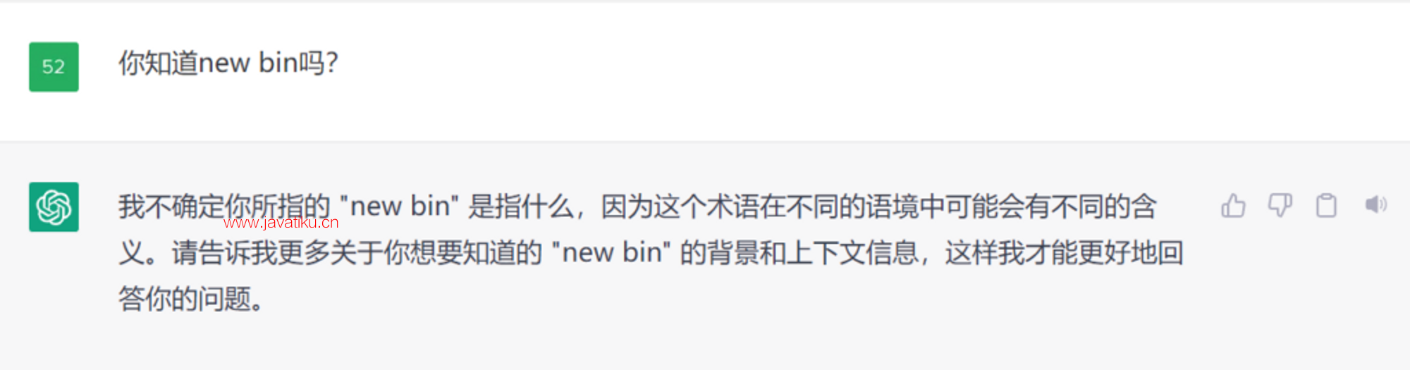 ChatGPT并不知道New bin是什么.png